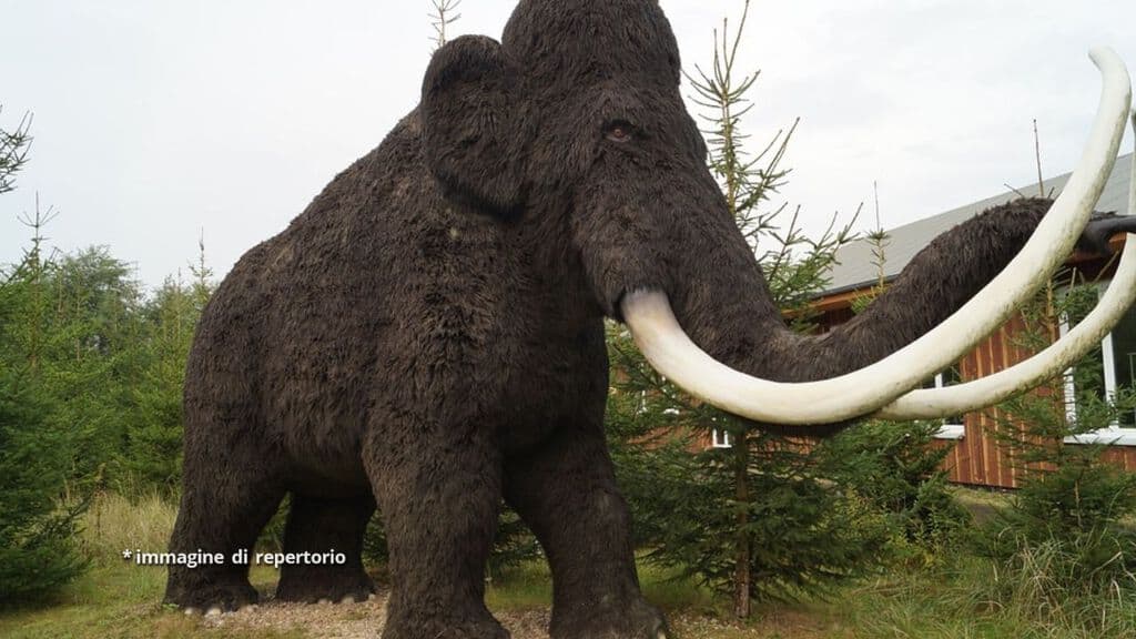 mammut ricostruito in un parco a tema