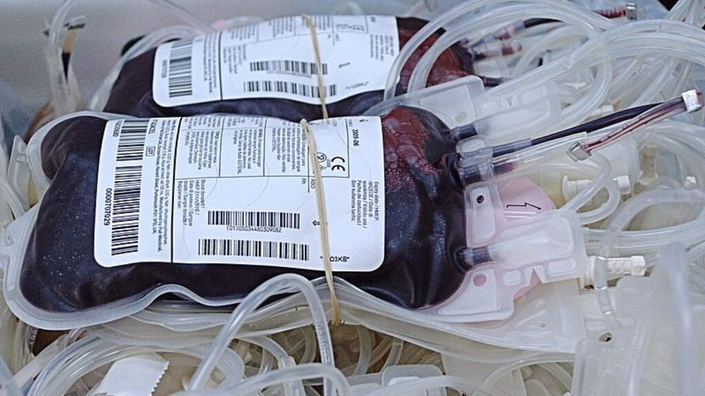 sacche sangue