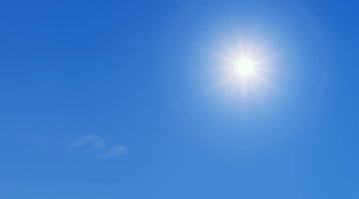 sole