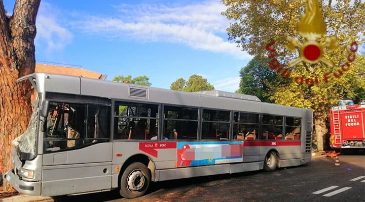 bus contro un albero