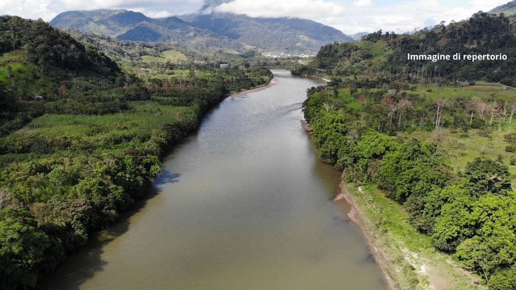 Amazzonia, delfini di fiume contaminati dal mercurio: rischio estinzione