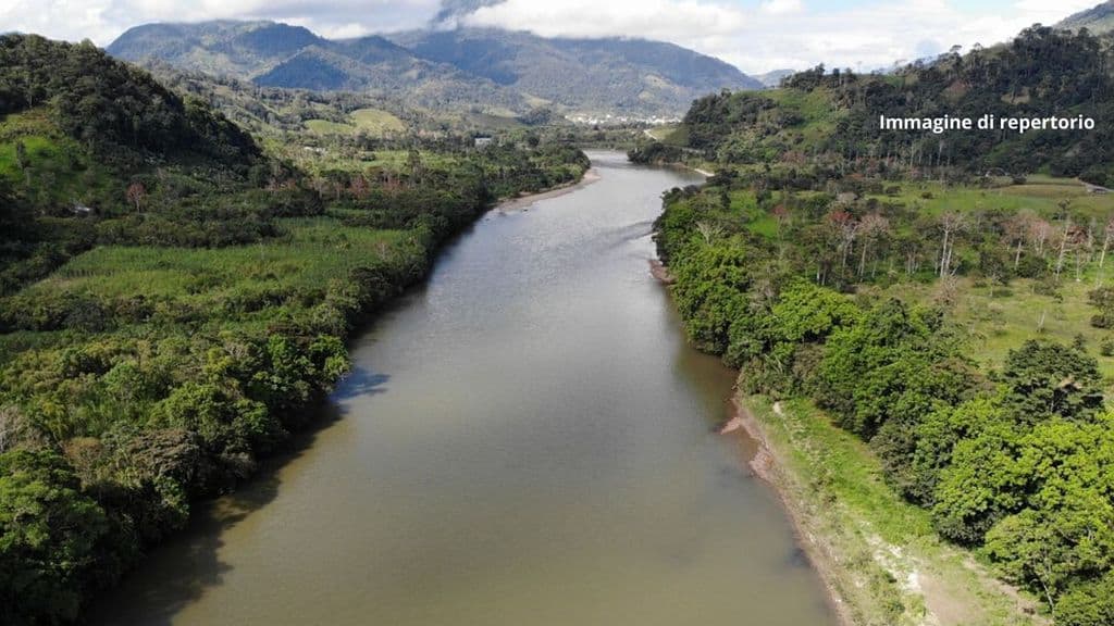 I delfini di fiume dell’Amazzonia a rischio estinzione. La causa: contaminazione da mercurio usato dalle compagnie minerarie. La denuncia del WWF (Immagine di repertorio)