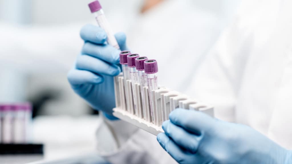 laboratorio
