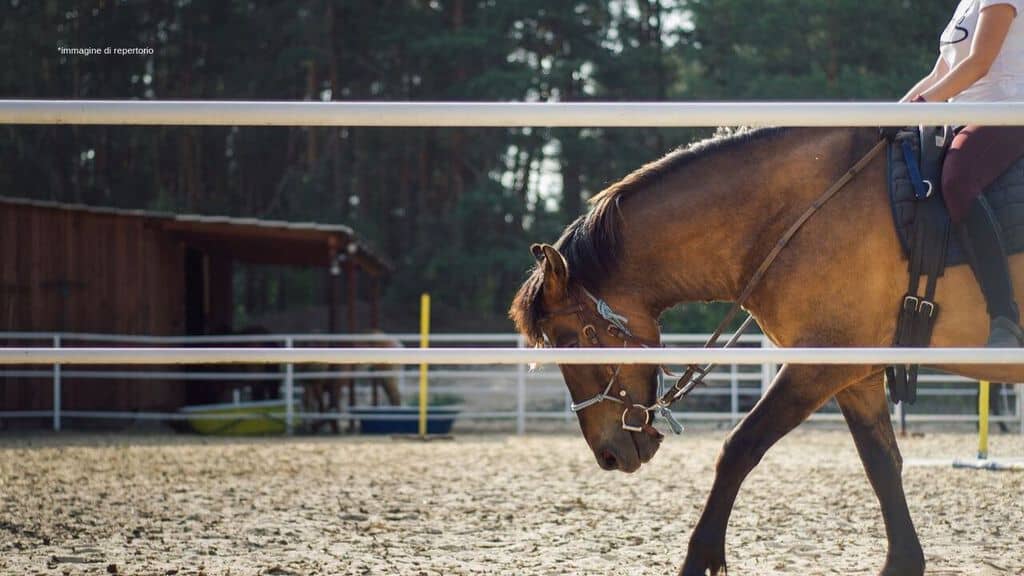 una ragazza a cavallo