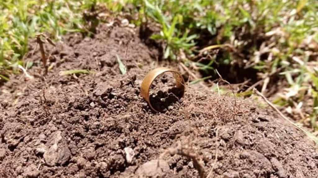 Michael Hill perse la sua fede nuziale in giardino. Dopo circa 40 anni, un cercatore di tesori l’ha ritrovata e restituita al proprietario. La coppia festeggerà presto il 50° anniversario (Foto Facebook Jual Butler)