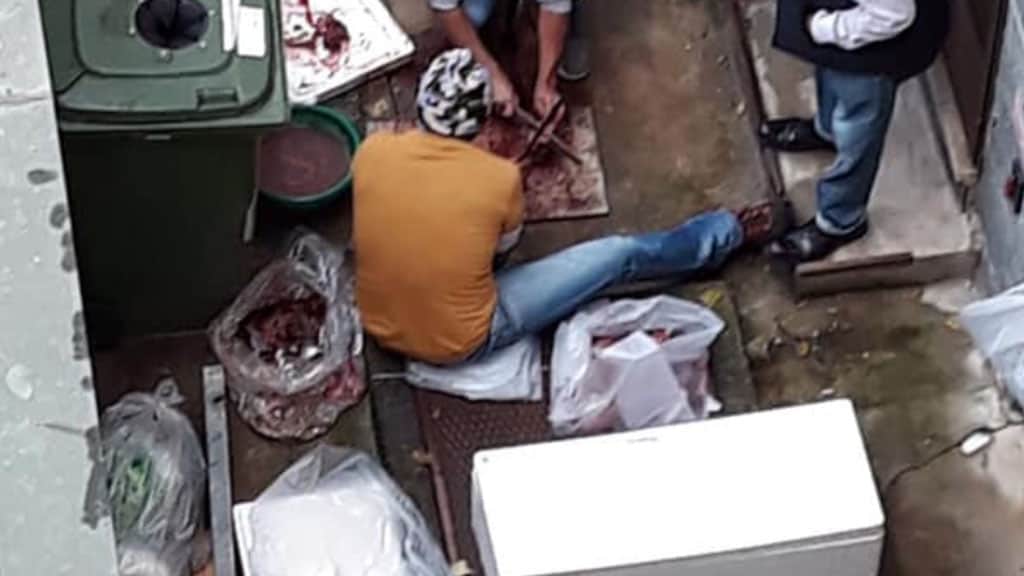 carne macellata nel cortile di un condominio