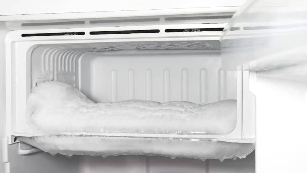 freezer evidenza