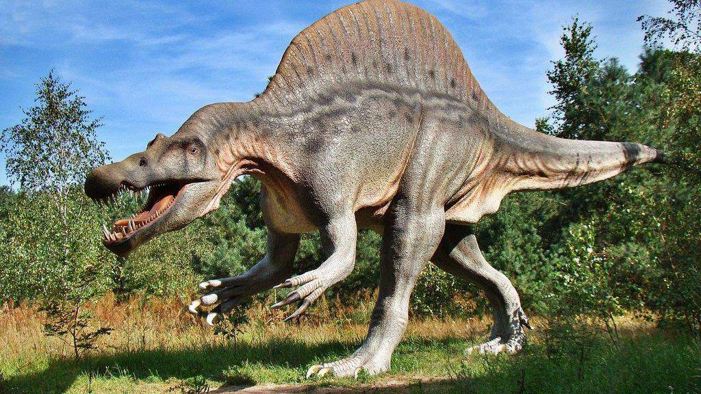 Dinosauro_Immagine di repertorio