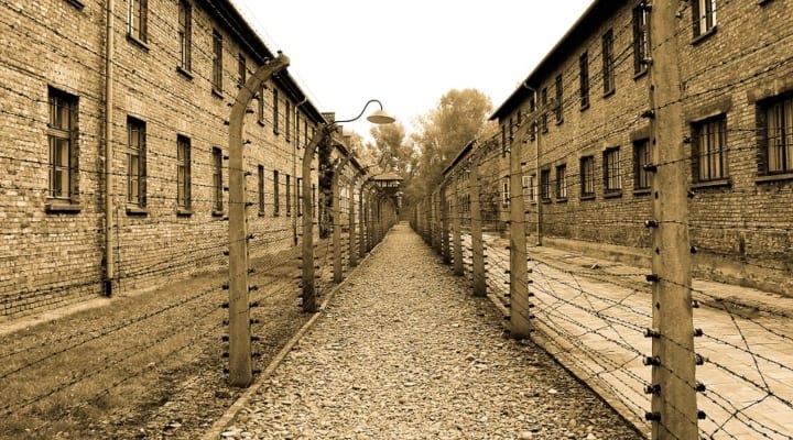 auschwitz