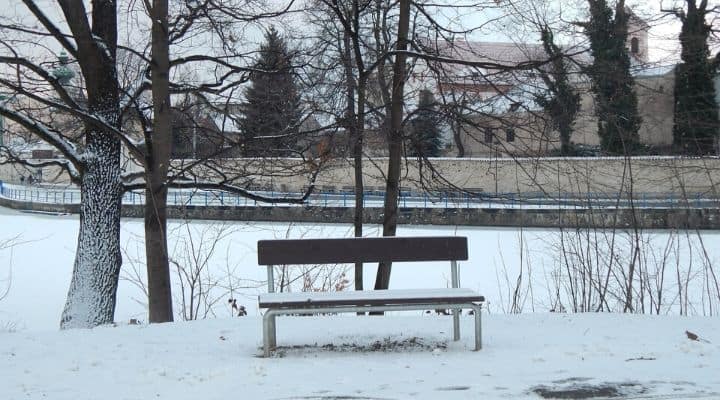 Parco con neve