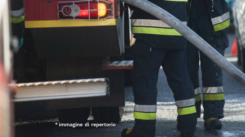 vigili