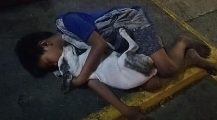 Bambino senzatetto dorme in strada abbracciato al cane: la foto diventa virale