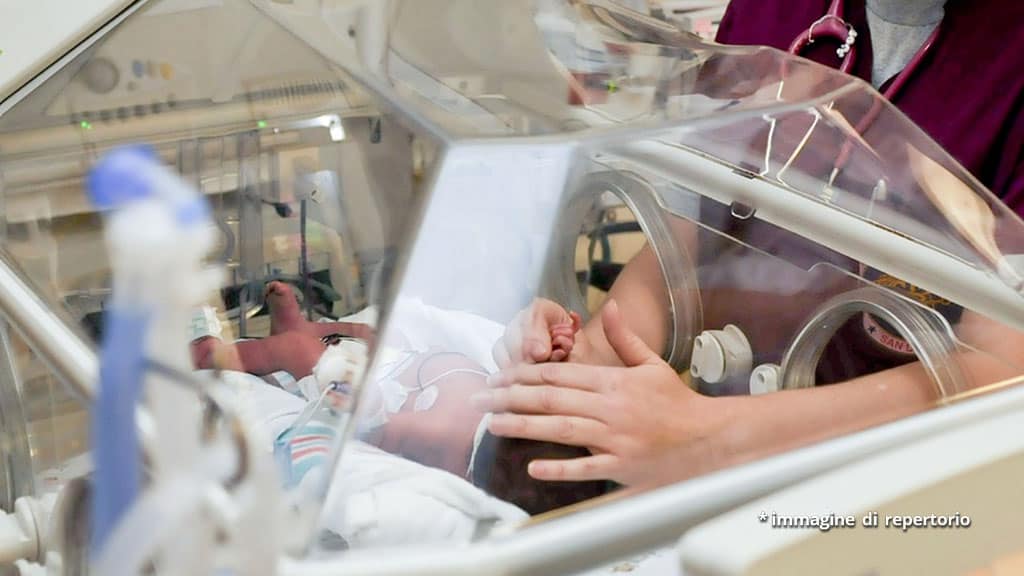 mani di infermiera e neonato