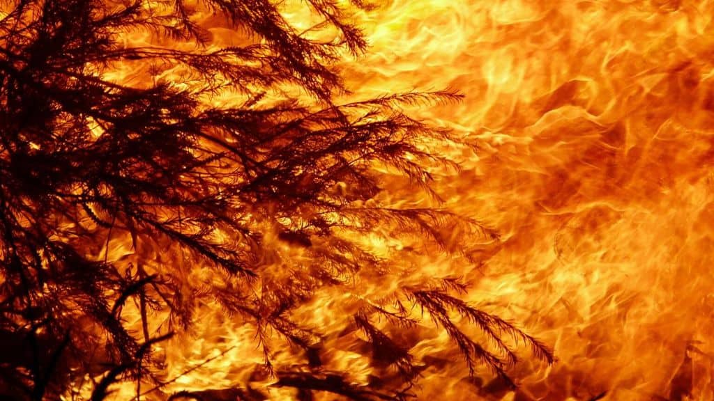 L’Australia ancora preda del fuoco. A Canberra residenti evacuati o chiusi in casa. Il bilancio della crisi è disastroso (Immagine di repertorio)