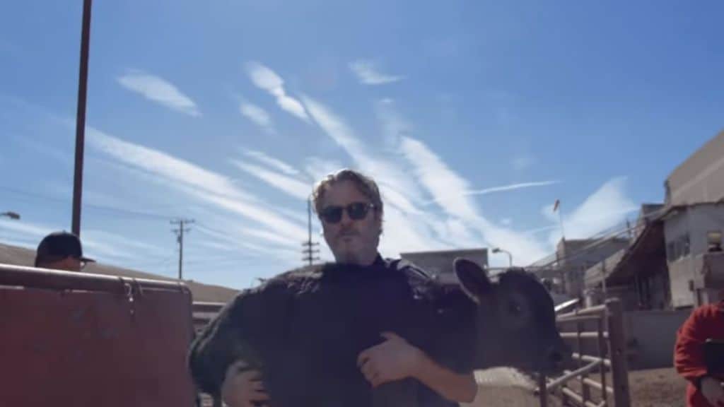 Joaquim Phoenix con in braccio un vitellino