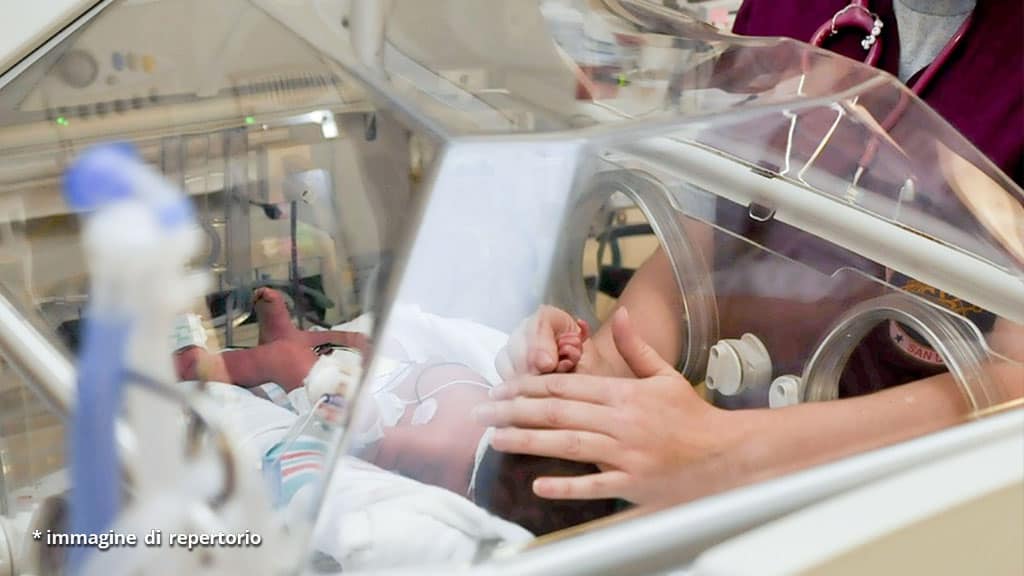 mani di infermiera e neonato in incubatrice