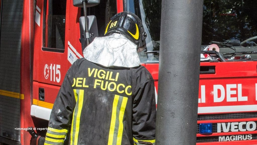 un vigile del fuoco di spalle