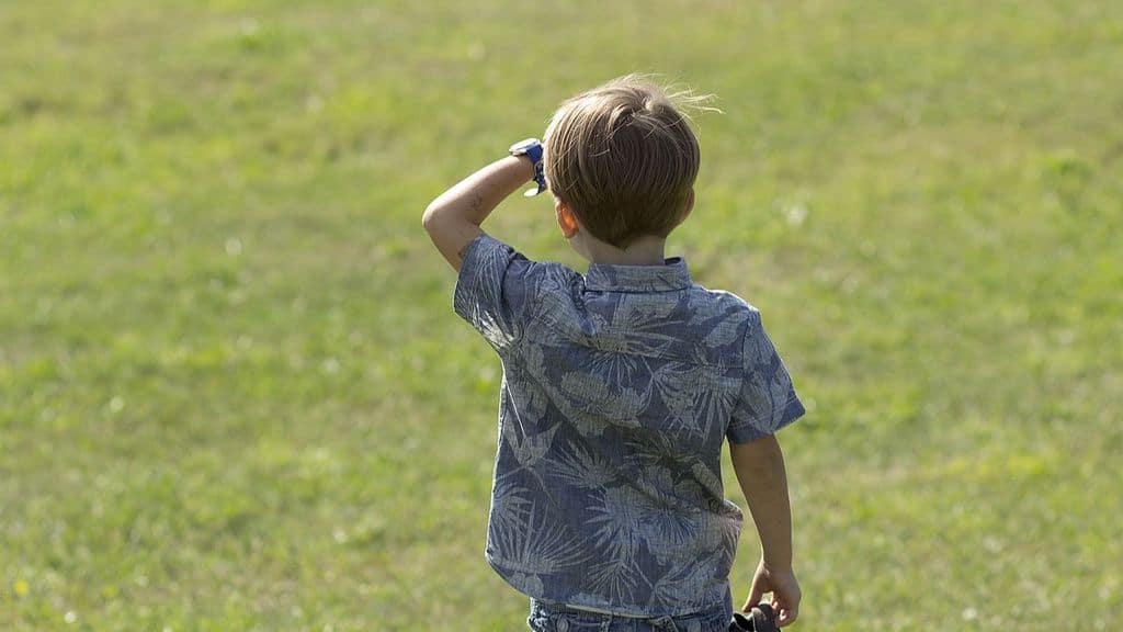 Bambino di spalle su un prato