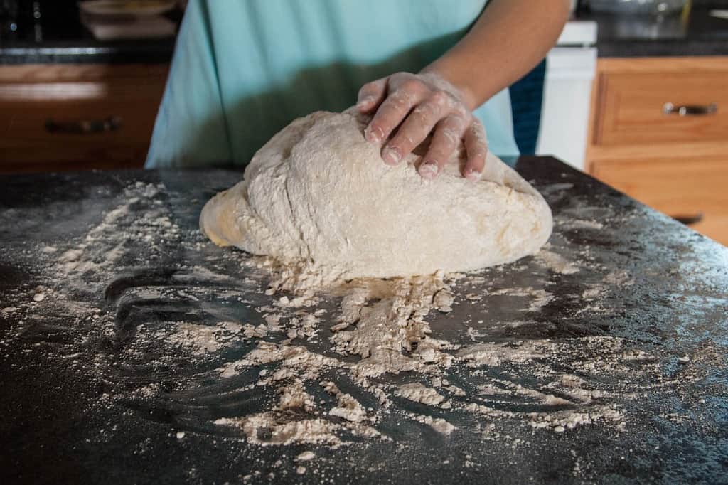 Impasto del pane