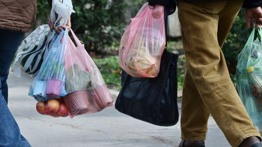 persone con in mano sacchetti di plastica