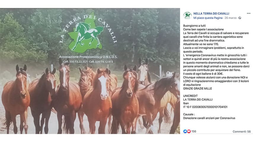 Post dell'associazione 'La Terra dei Cavalli' su Facebook