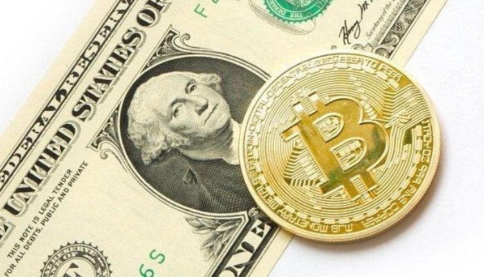 dollaro e bitcoin