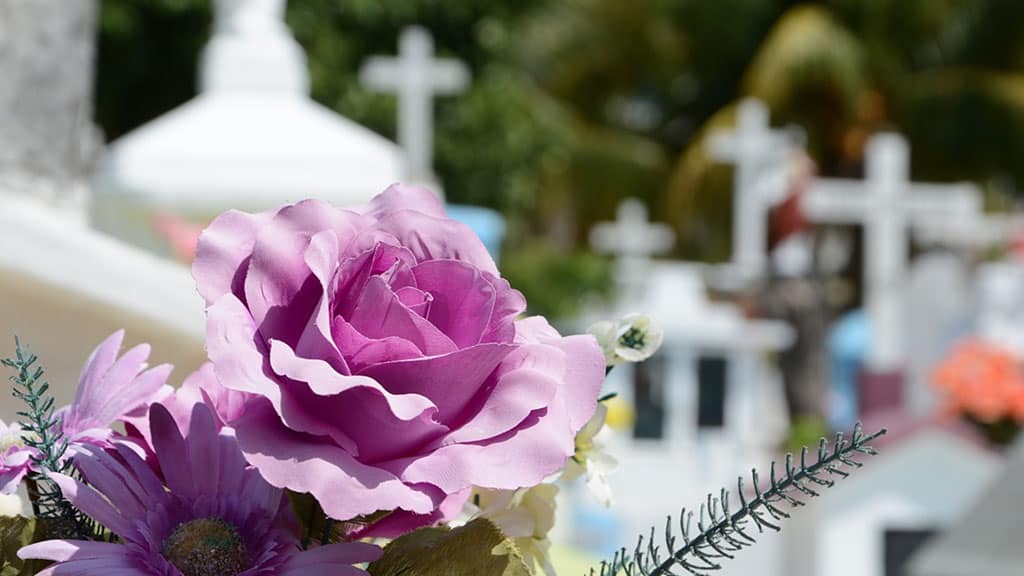 fiori in cimitero