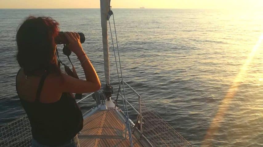 La ricercatrice Laura Pintore durante il lavoro sul campo: studiare delfini, balene e abitanti del mare