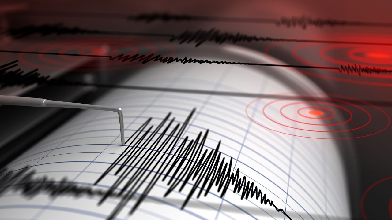 Sismografo in fase di rilevazione di una scossaa