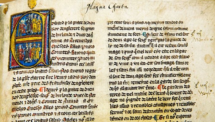 libro magna charta