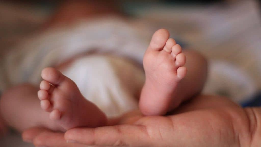 Verona batterio killer neonati ospedale