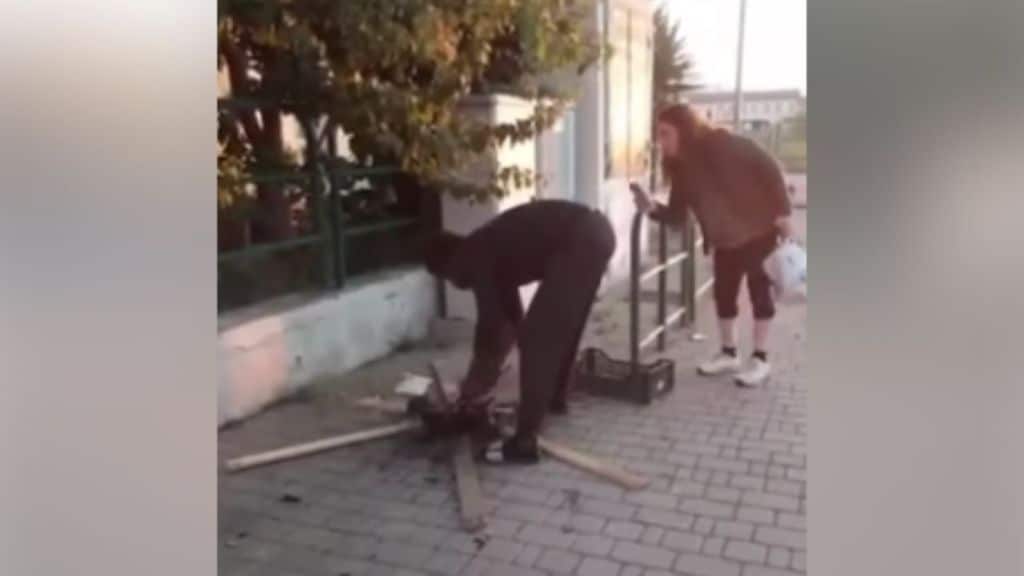 21enne mentre cucina un gatto per strada