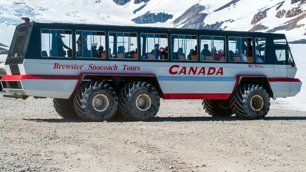 Tragedia in Canada, autobus si ribalta sul ghiacciaio: morti e feriti gravi fra i turisti