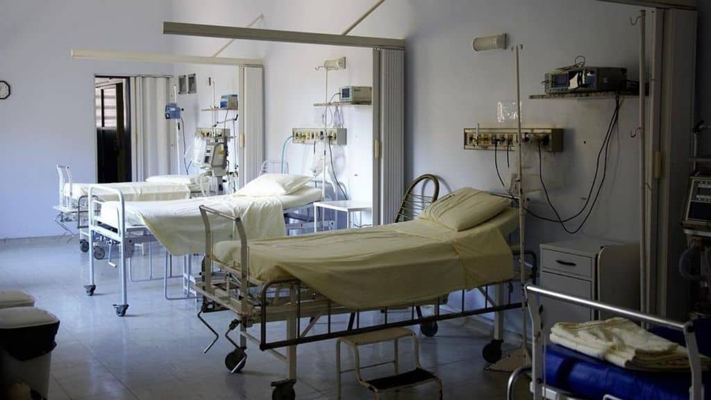 Palermo, cadavere ricoperto di formiche all’obitorio: aperta un’indagine interna all'ospedale Cervello