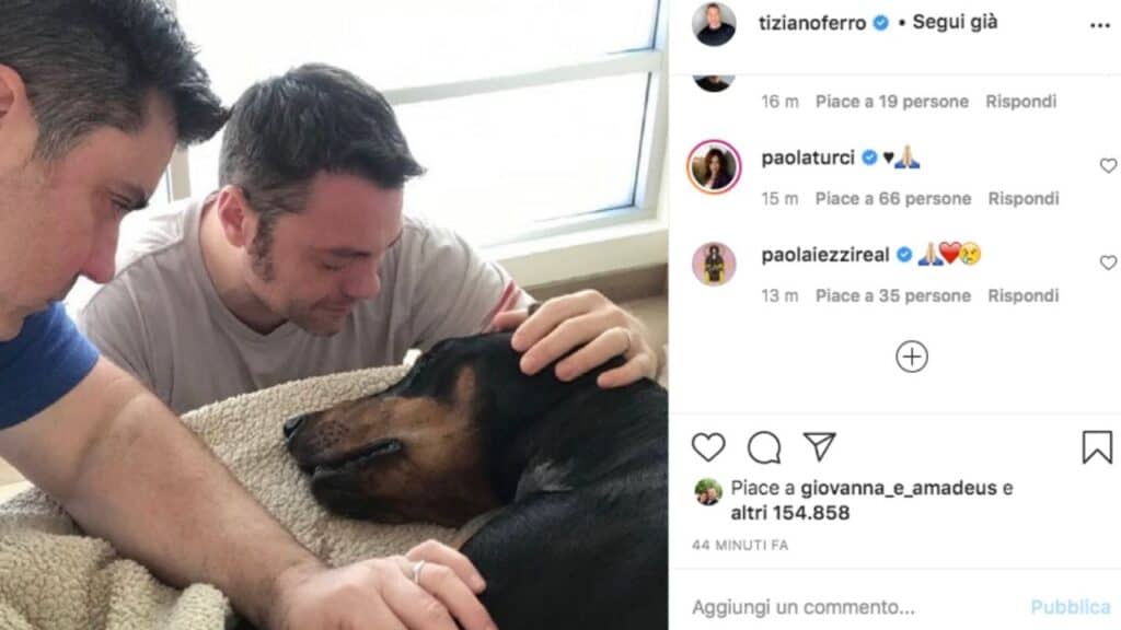 Tiziano Ferro e il suo cane Beau