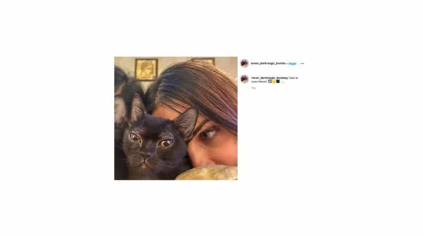 Il gatto di Nina Moric su Instagram