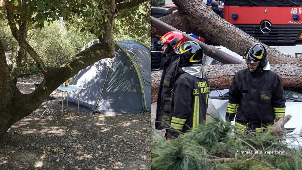 Una tenda da campeggio e Vigili vicino ad un albero caduto