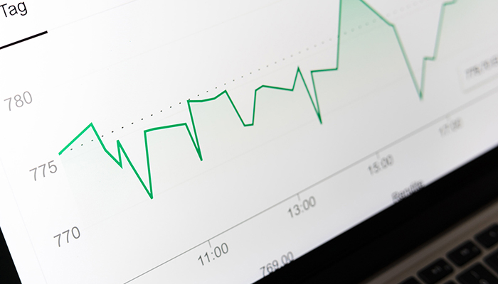 Grafici sustainability bond nel lusso