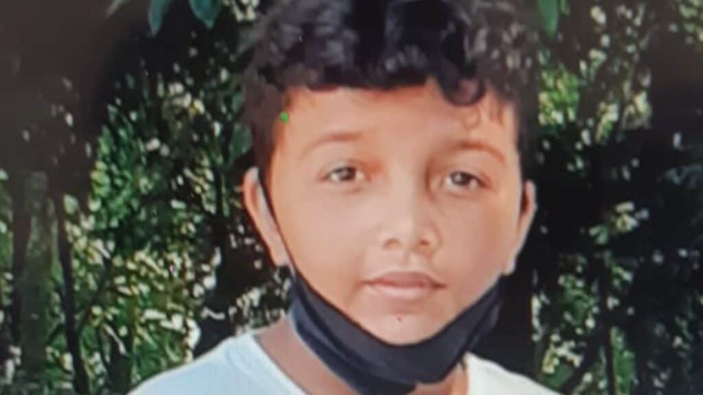 Reggio Emilia, 12enne scomparso travolto da un furgone