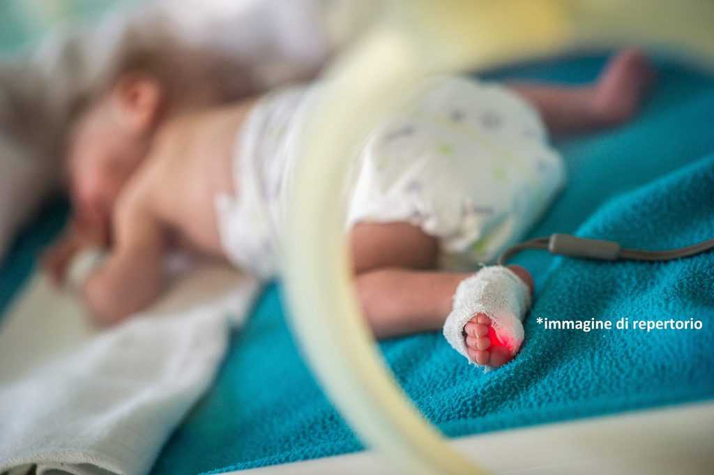 Neonato prematuro in incubatrice