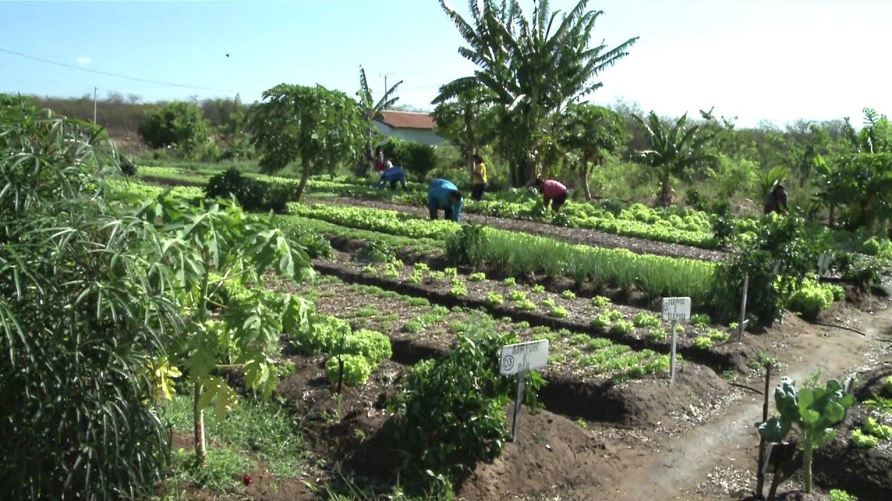 ioAgri piattaforma digitale