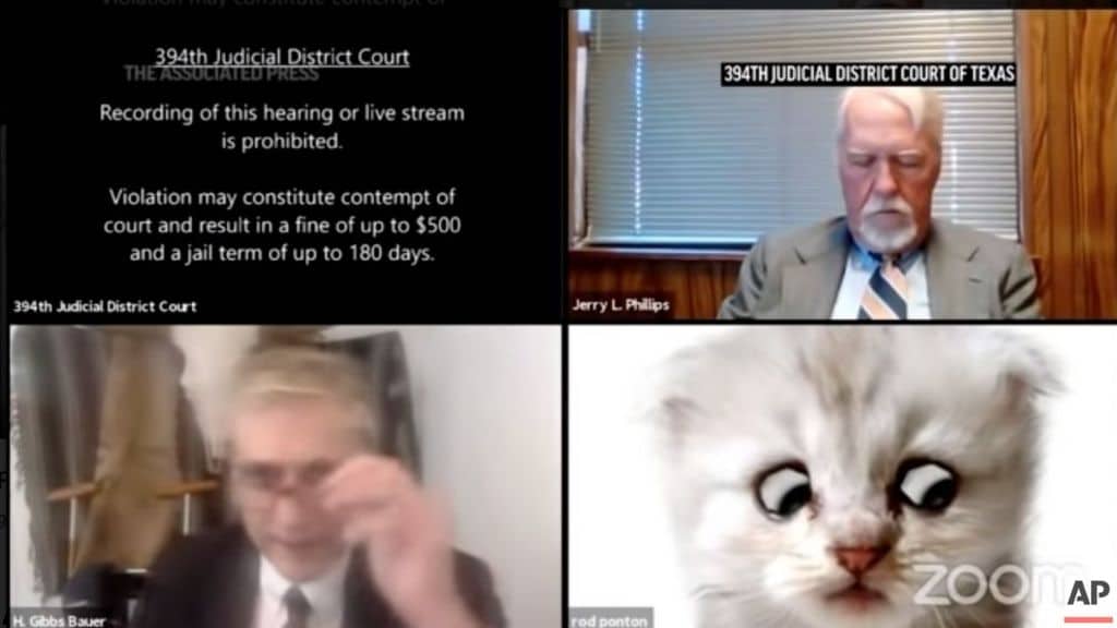 Avvocato non riesce a togliere filtro da gatto su Zoom durante l’udienza: il video virale