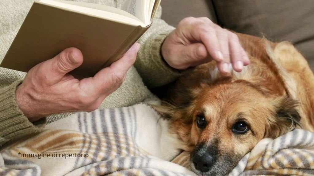 uomo lascia l'eredità al cane