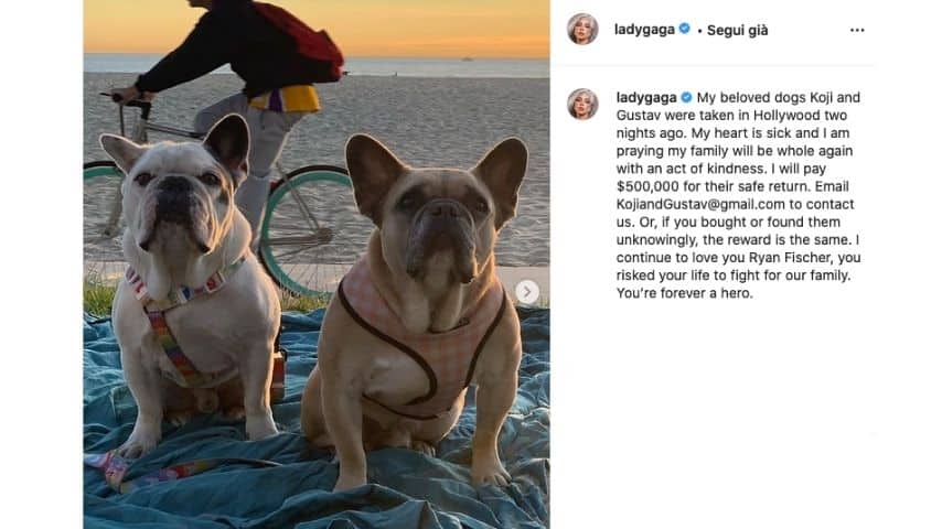 Lady Gaga posta una foto con i cani