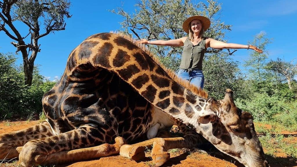 Merelize Van Der Merwe posa con la giraffa nera che ha ucciso