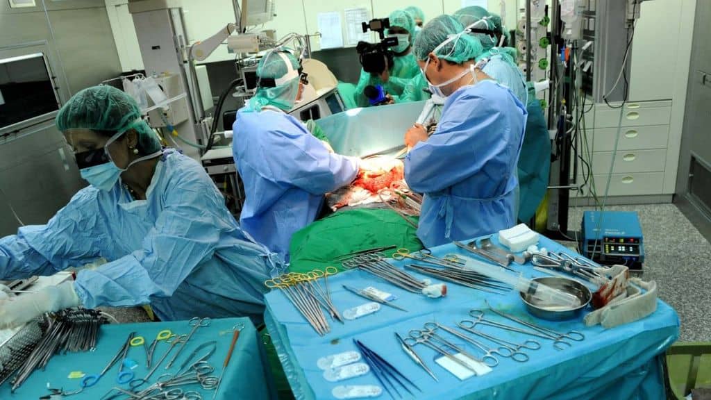 bimba malata 3 anni trapianto fegato