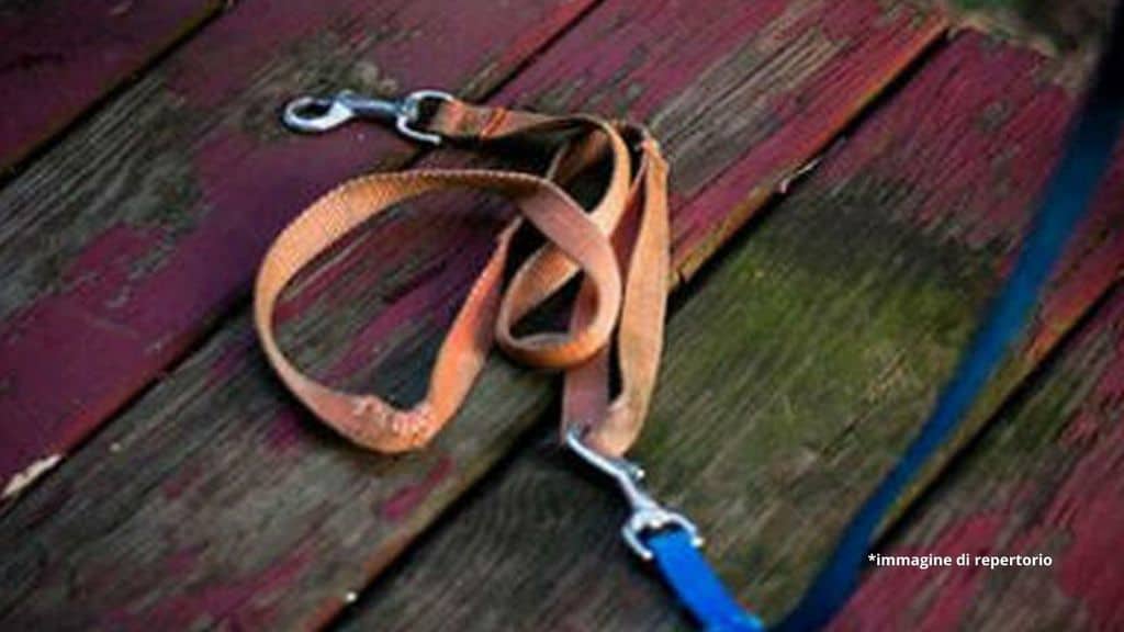 Caserta, 16enne legato con un guinzaglio al cofano e picchiato dal padre: arrestato il 54enne, violenze anche sulla madre