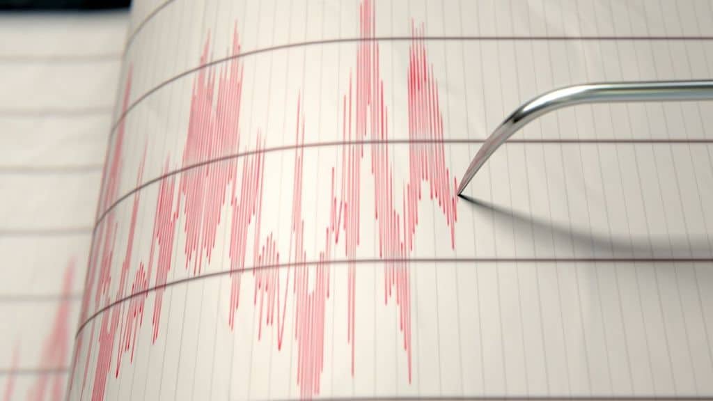 sismografo segnala terremoto