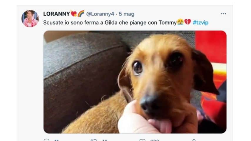 Gilda, il cane di Tommaso Zorzi