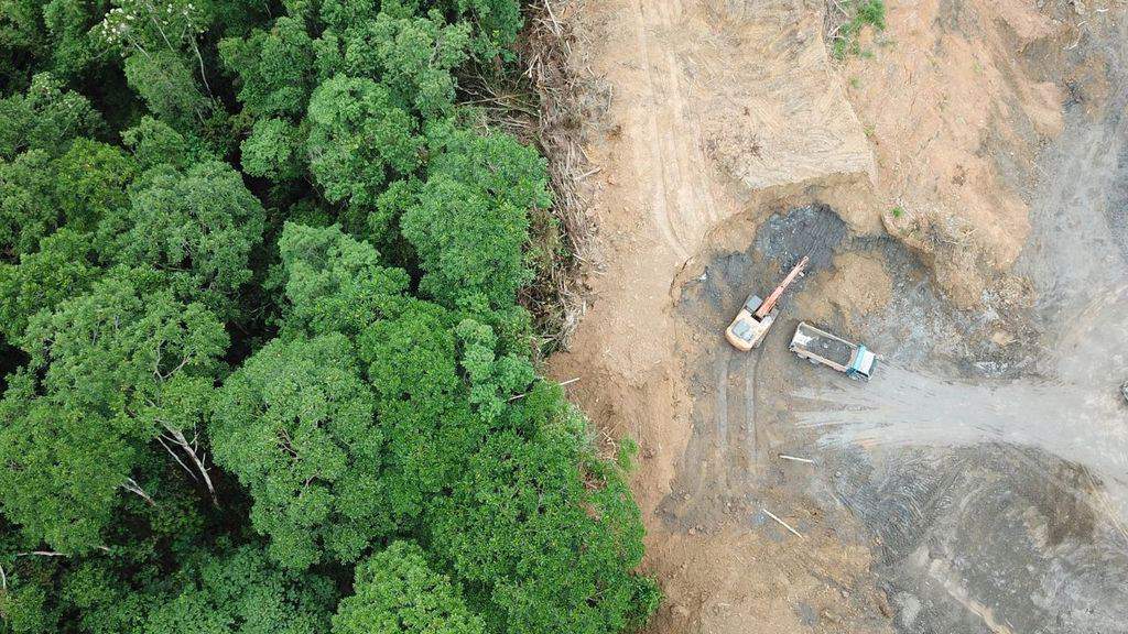 Allarme per la foresta Amazzonica, tra disboscamenti e incendi